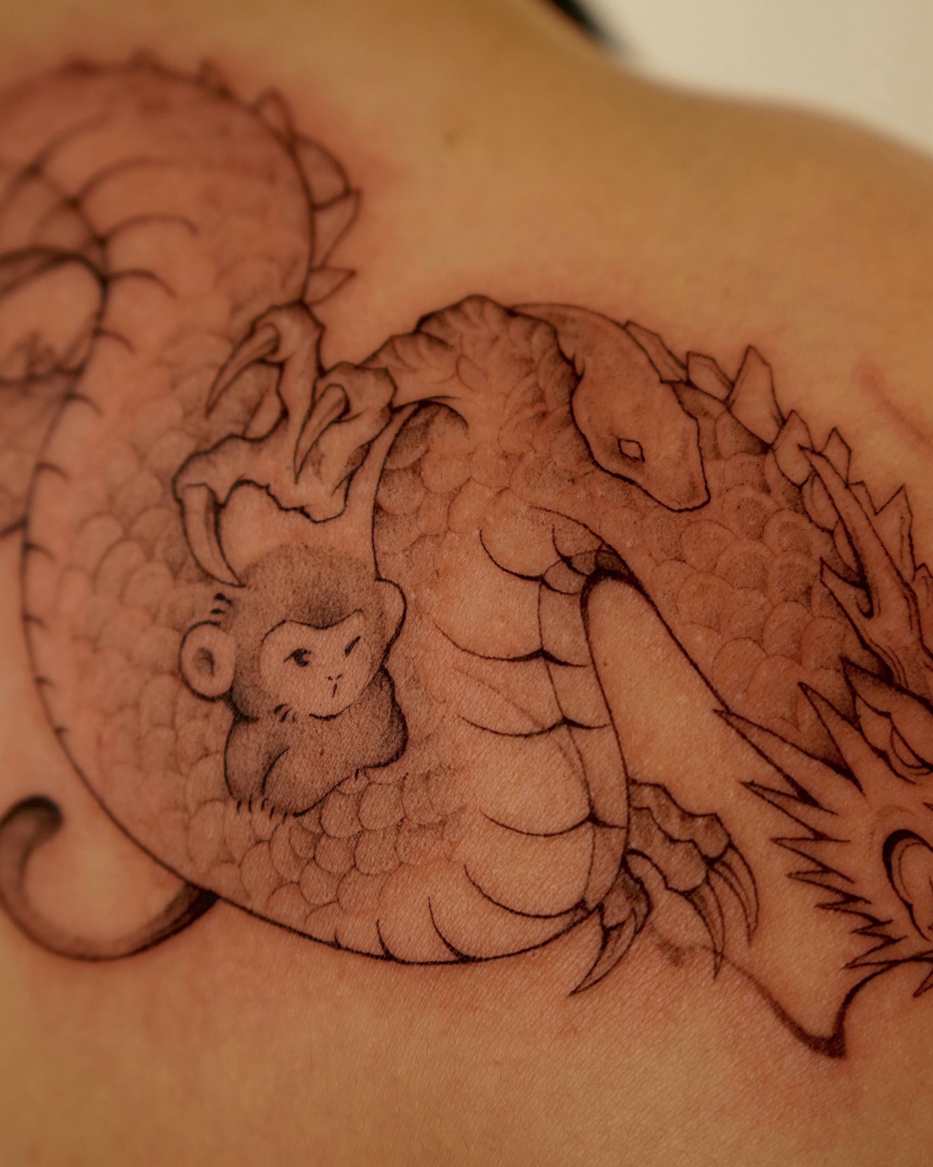 Dragon