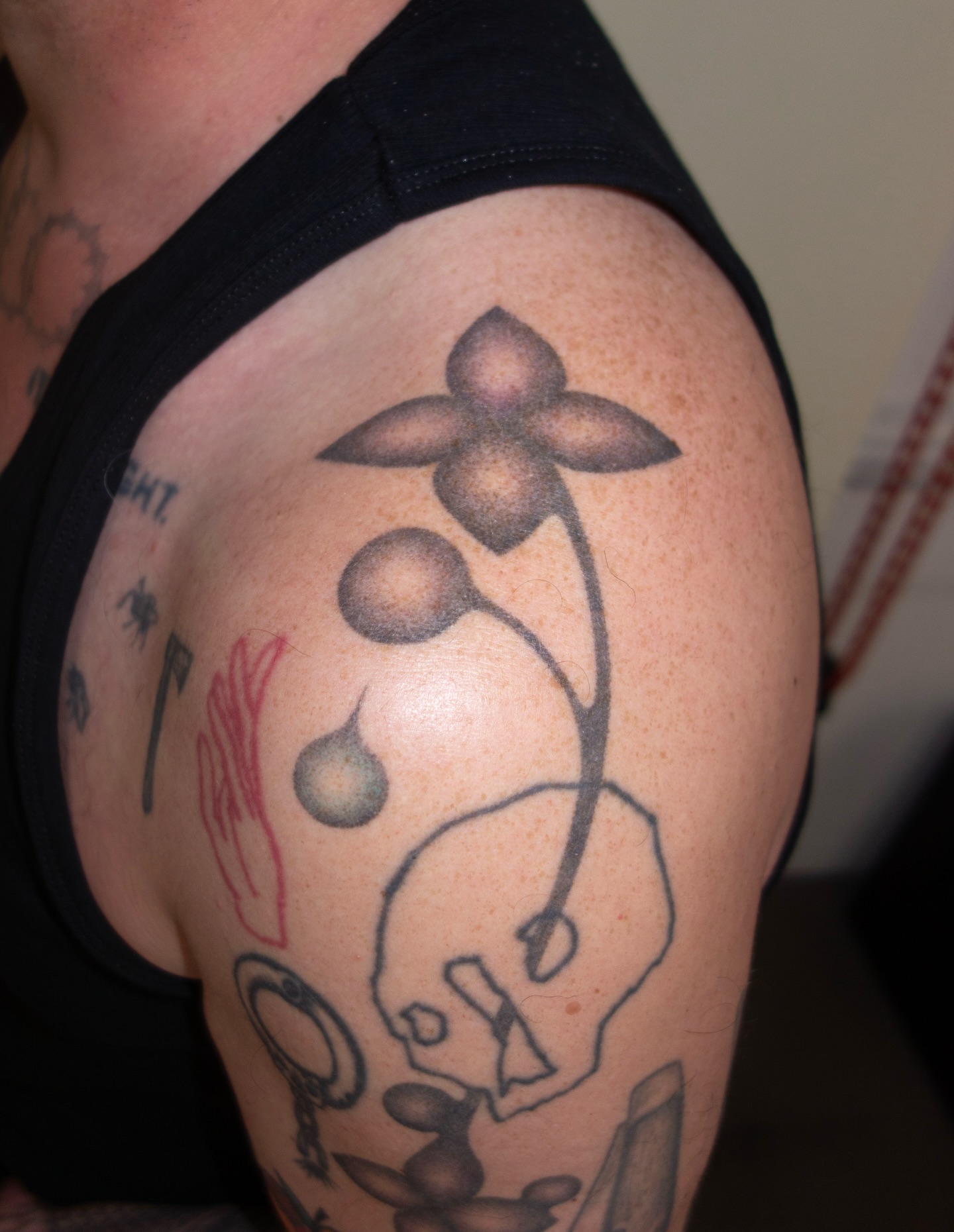 Flower, Rose