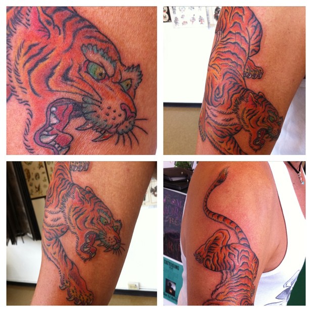 Tiger