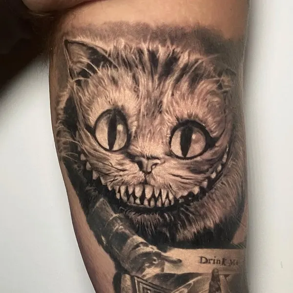 Animal