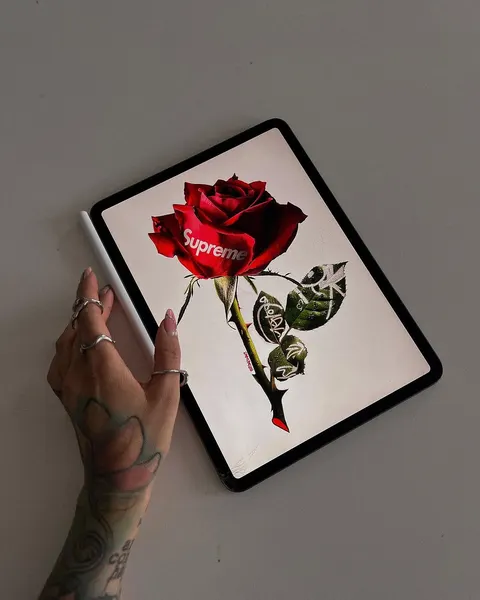 Flower, Rose