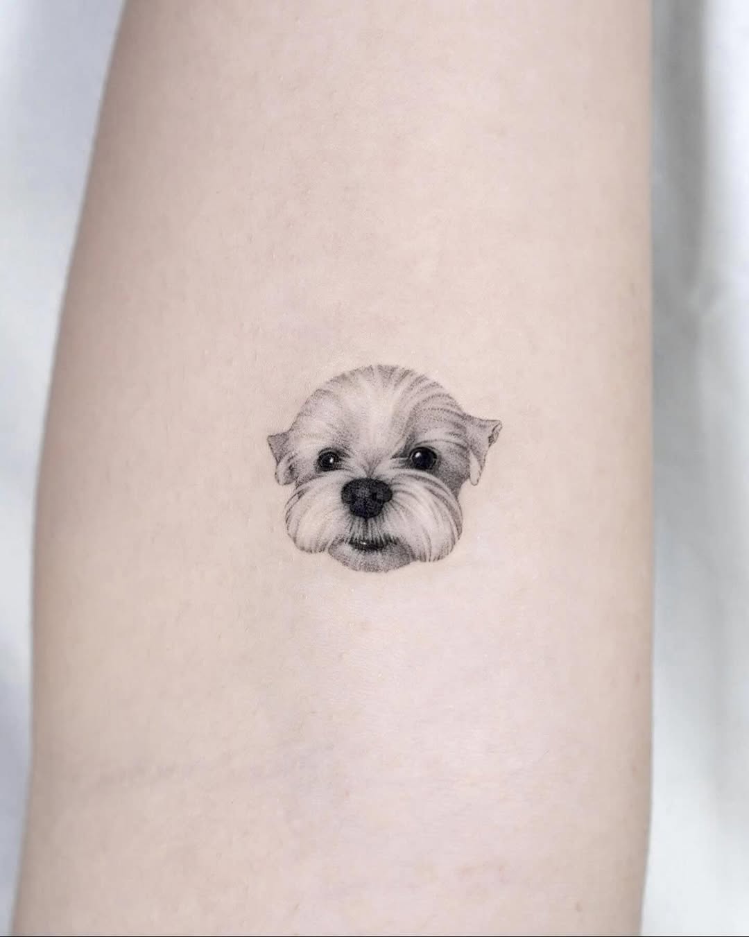 tatti_seoul