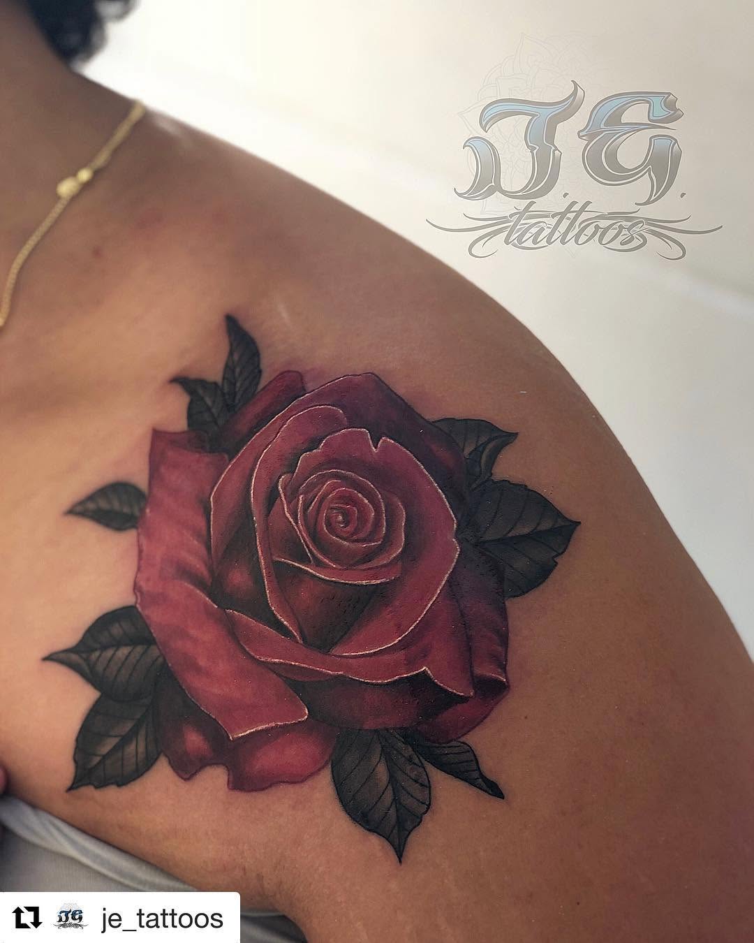 Flower, Rose, Nature