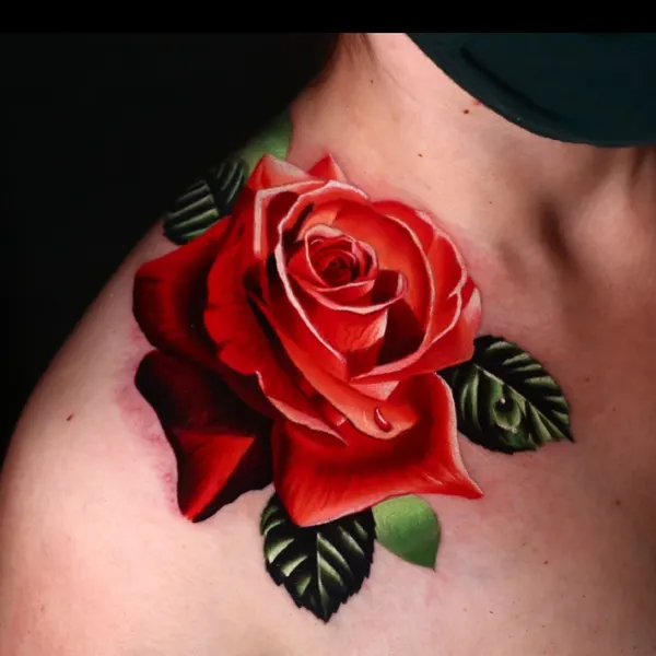 Flower, Rose, Nature