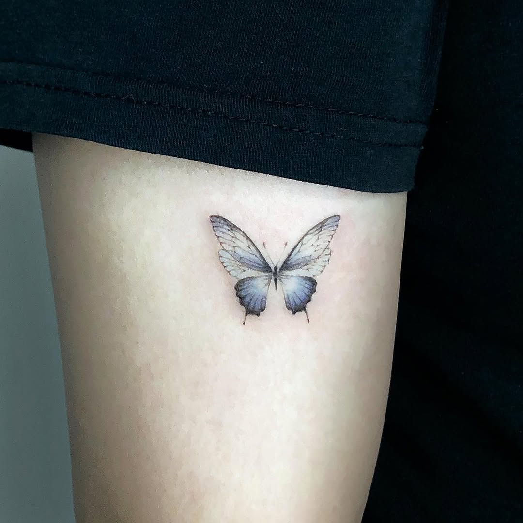 Animal, Nature