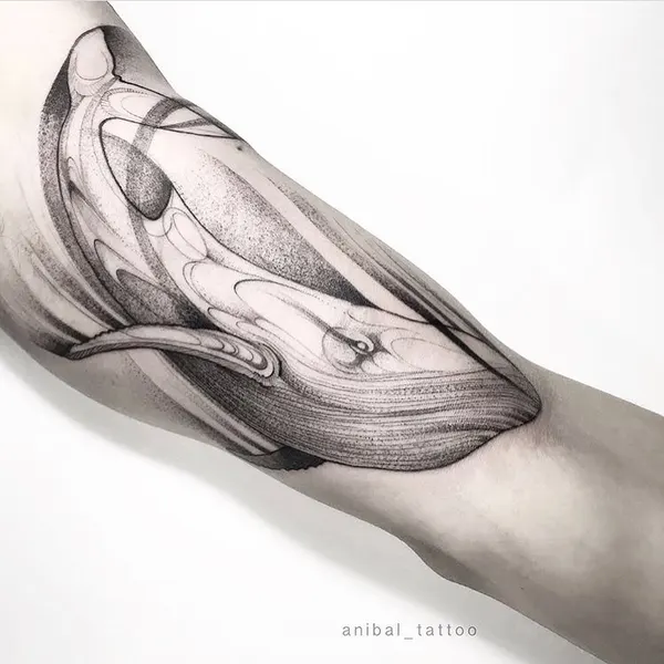equilattera