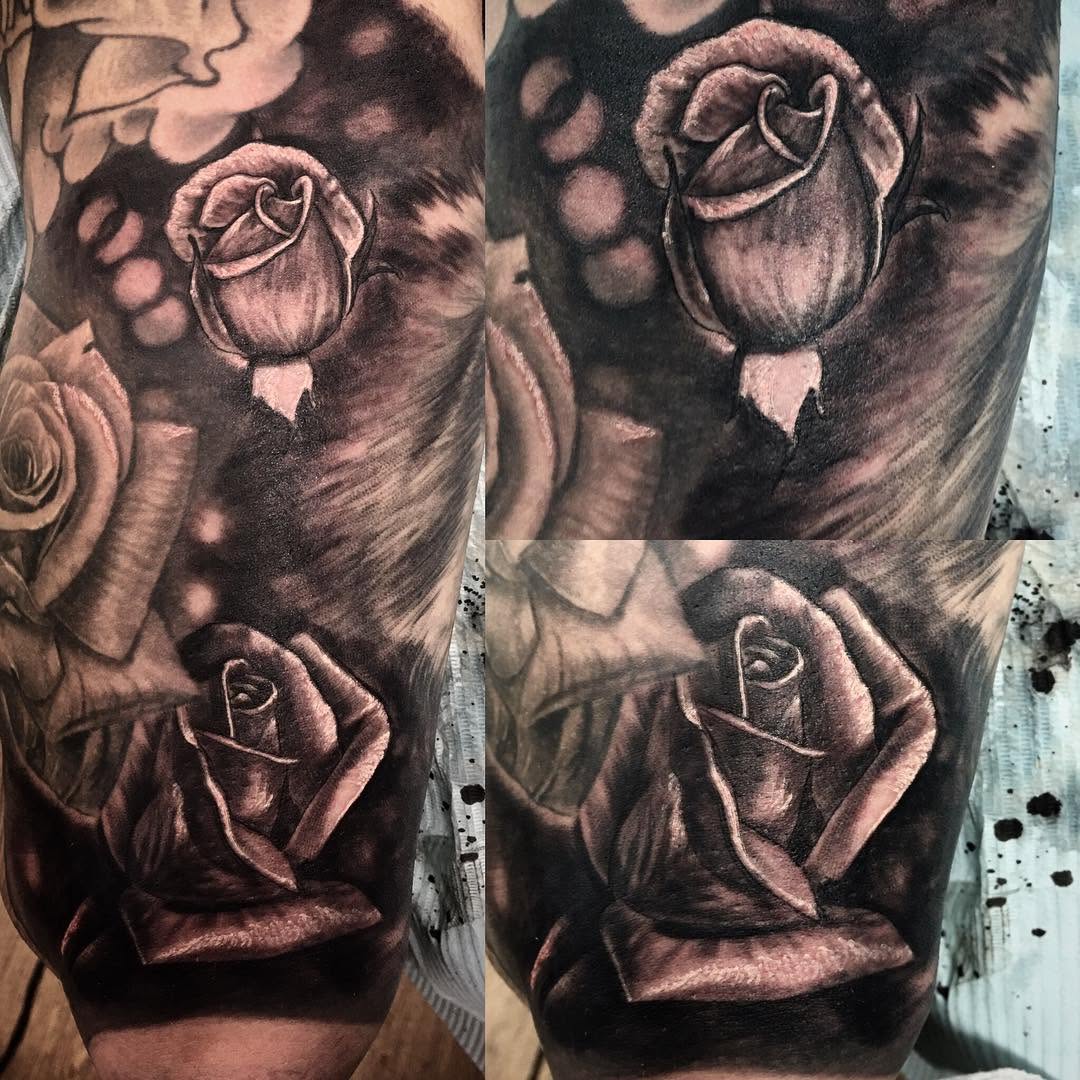 Flower, Rose