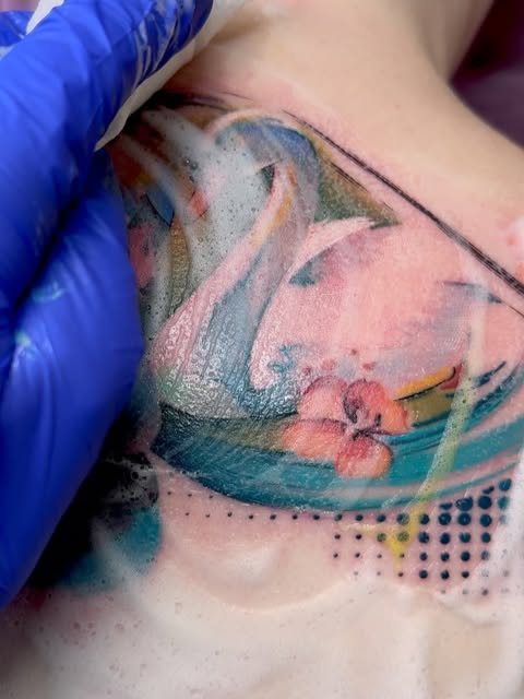 Flower, Animal