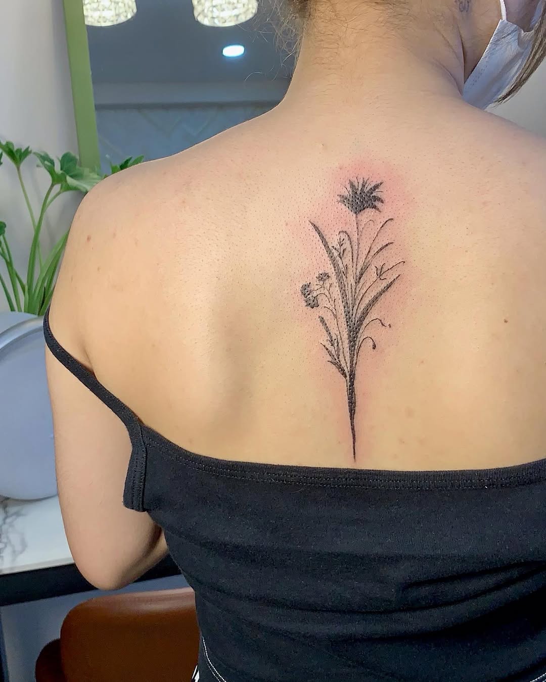 miaa_tattat