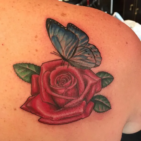 Flower, Nature, Animal, Rose