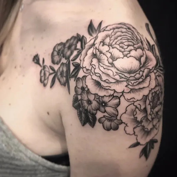 Flower, Rose, Nature