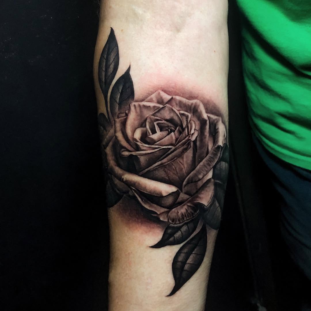 Flower, Rose
