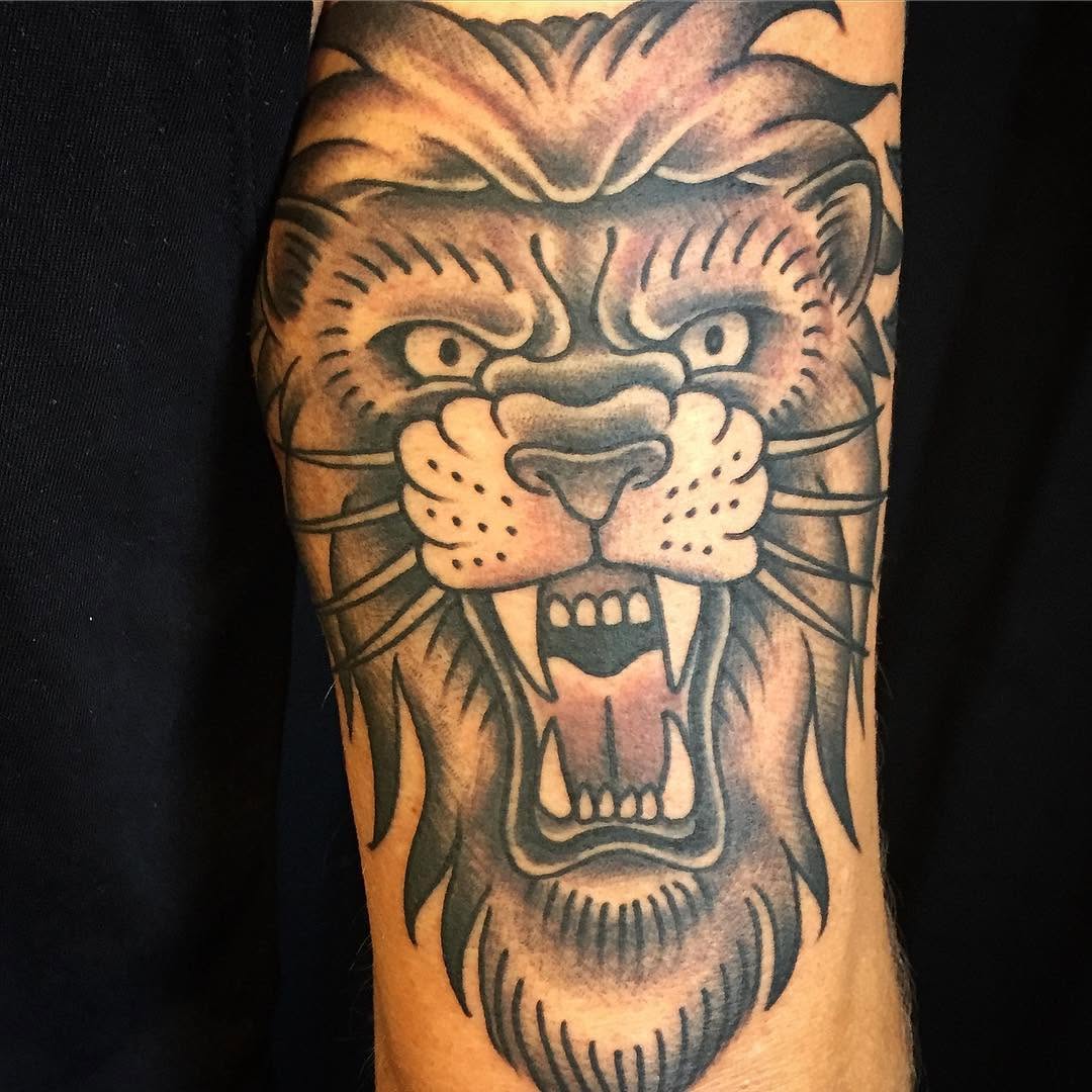 Tiger, Animal