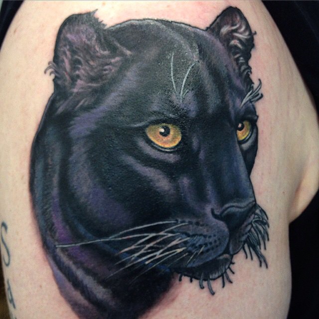 Animal
