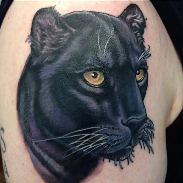 Animal