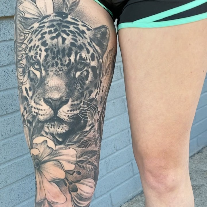 Animal