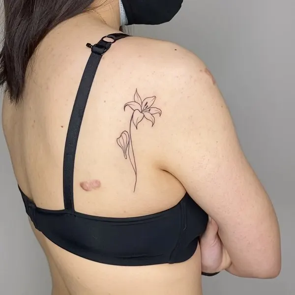 Flower, Nature, 목련, 백합, 난초, 튤립, 수선화, 아이리스, 연꽃