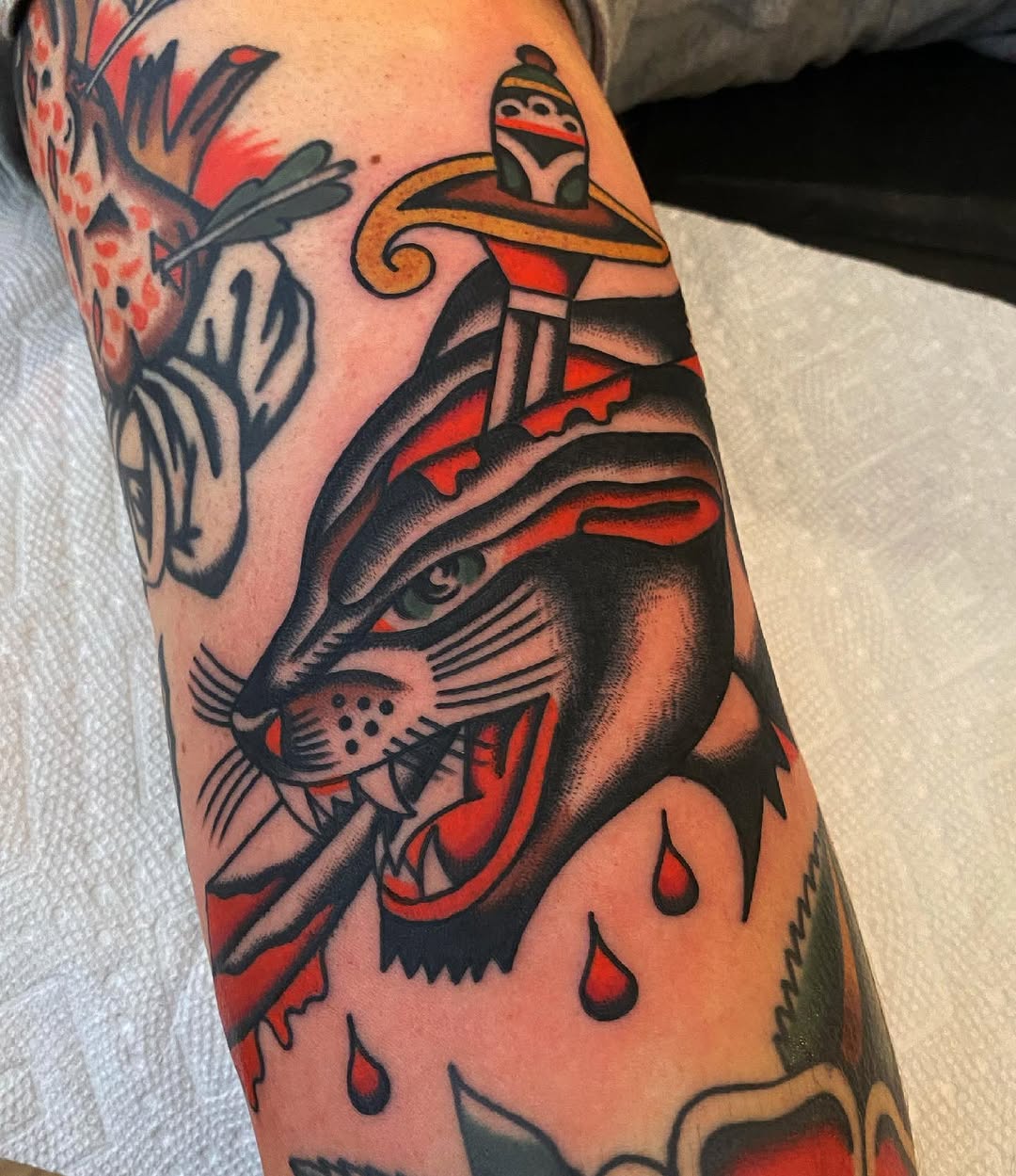 Tiger, Animal