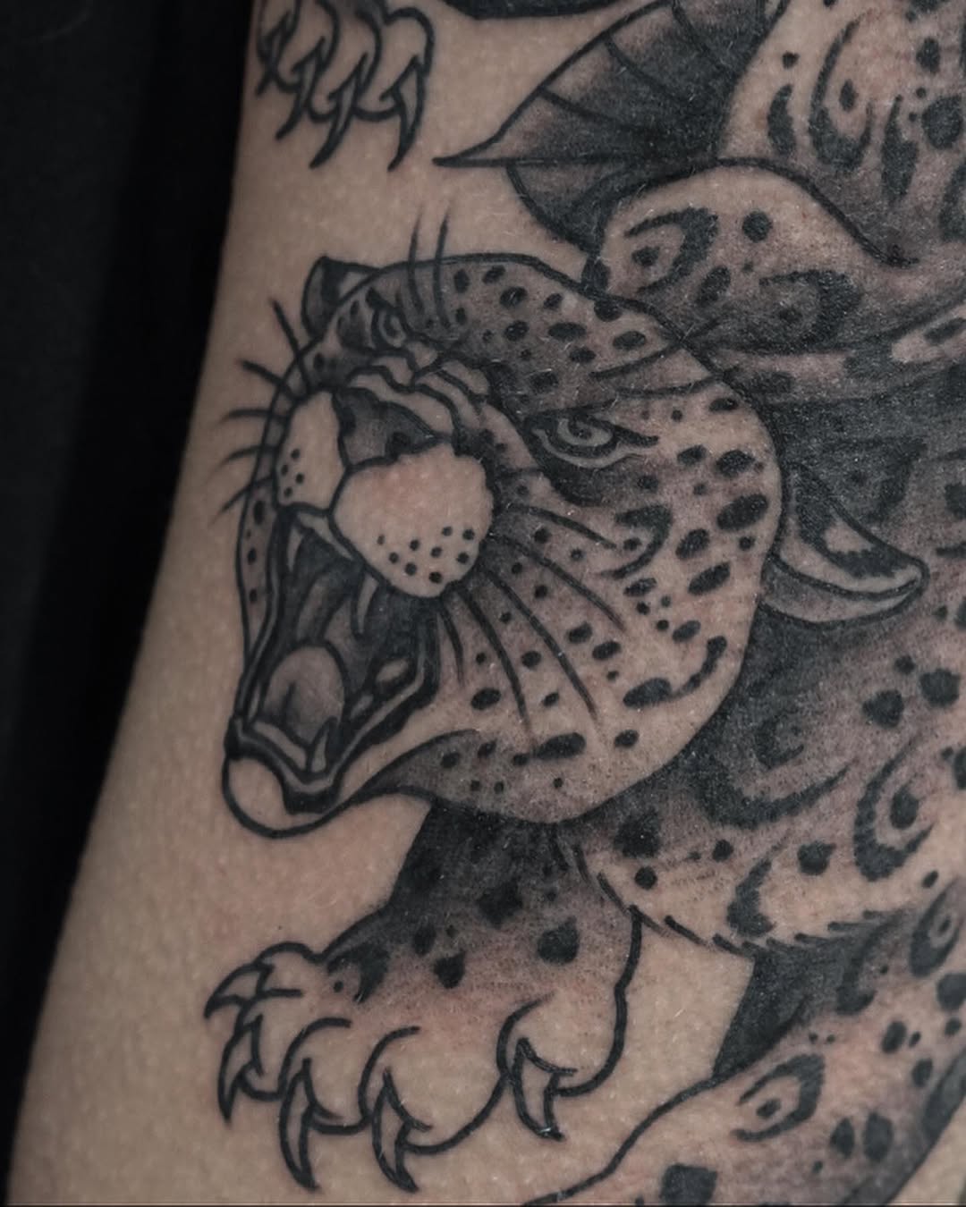 Animal, Tiger