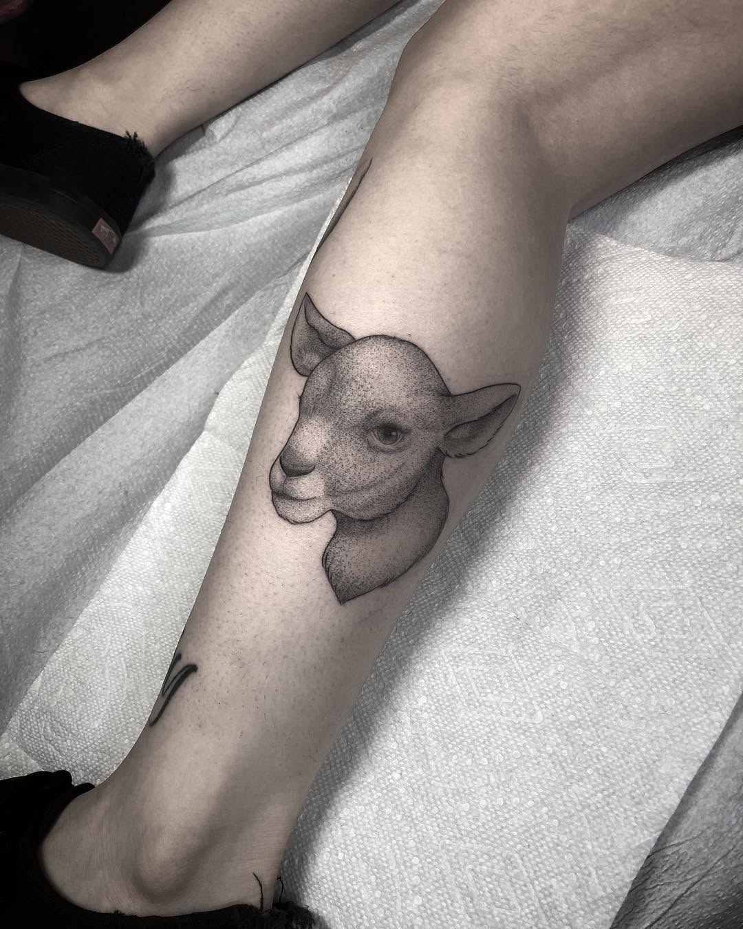 Animal