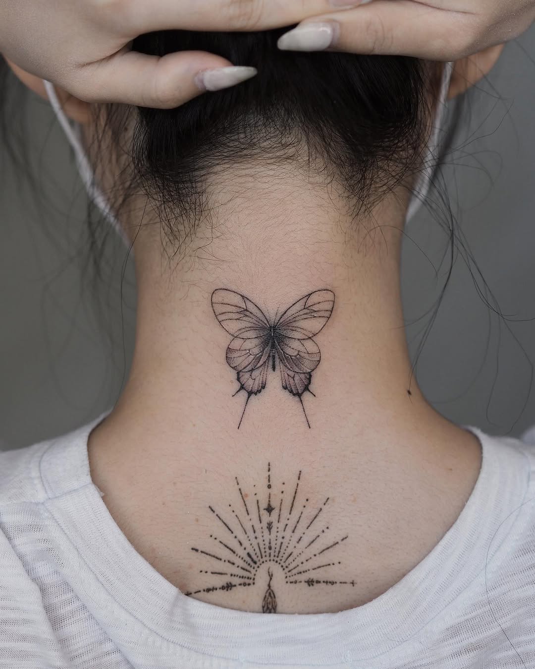Nature, Animal