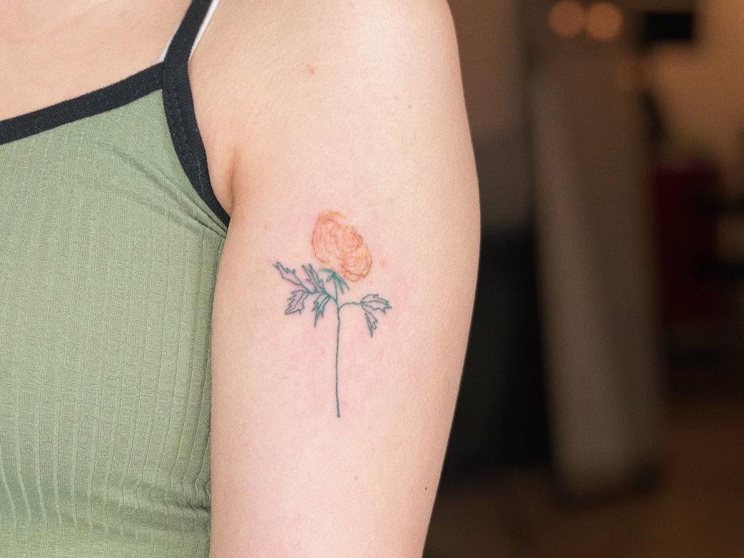 Flower, Rose