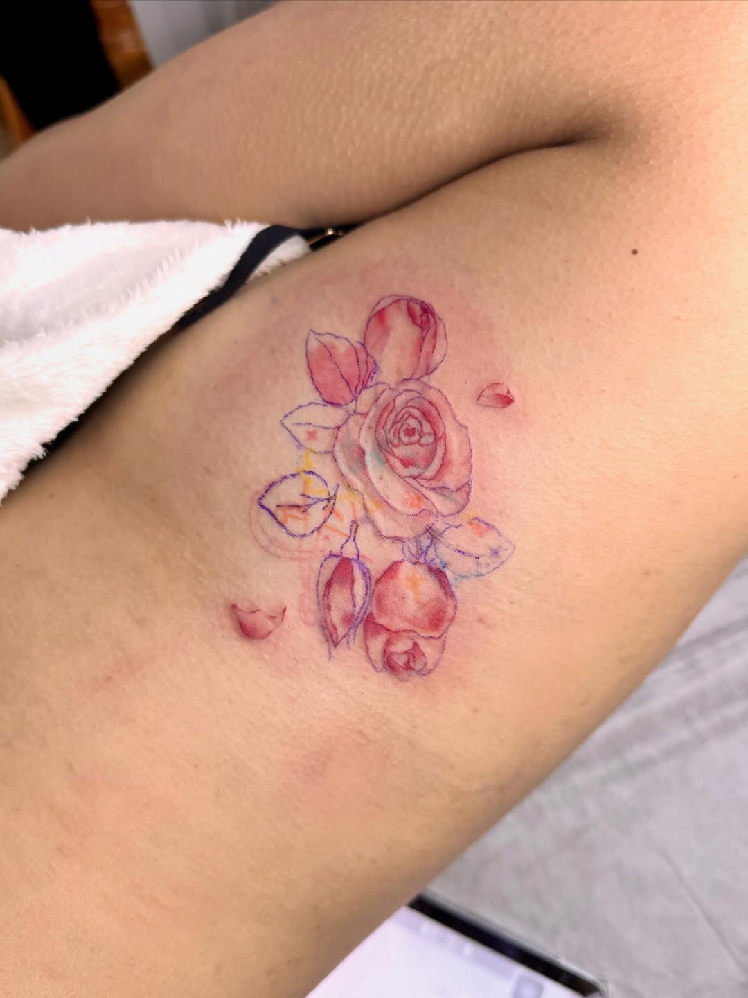 Rose, Flower