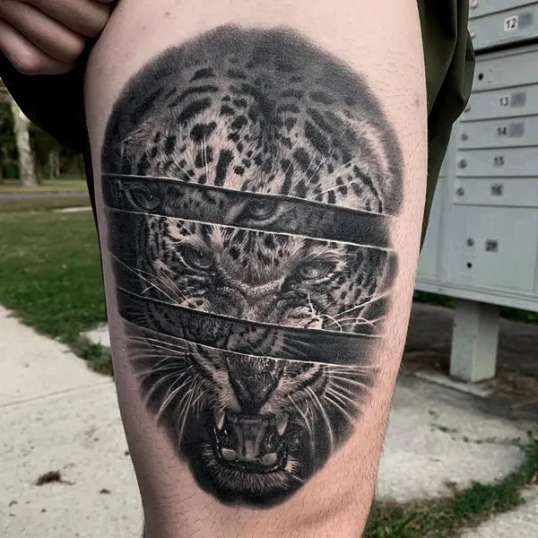 Animal, Tiger