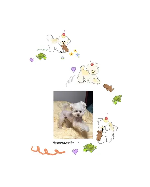 Animal