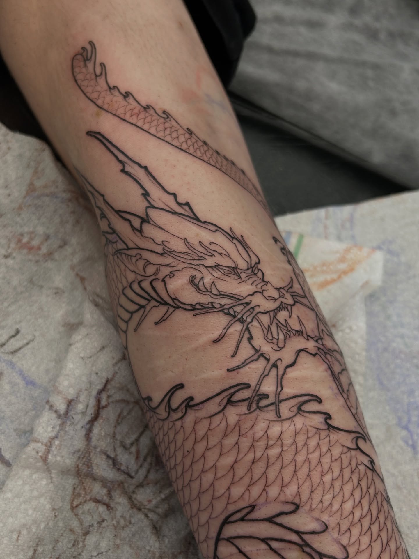 Dragon