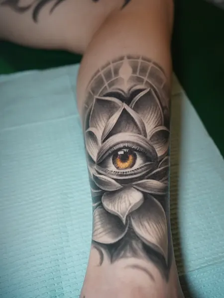 Flower, Rose, 눈 초상