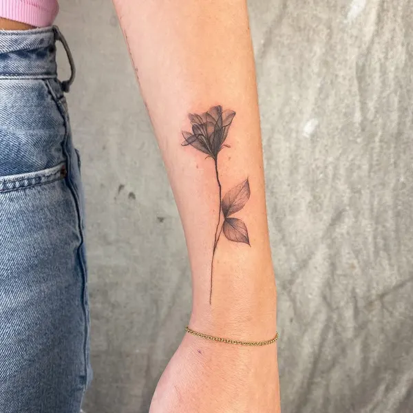 Flower, Rose