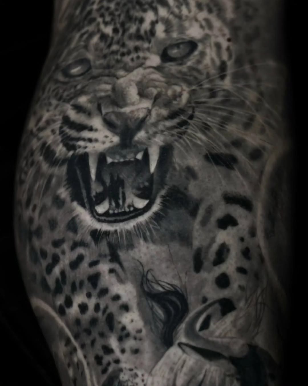 Animal