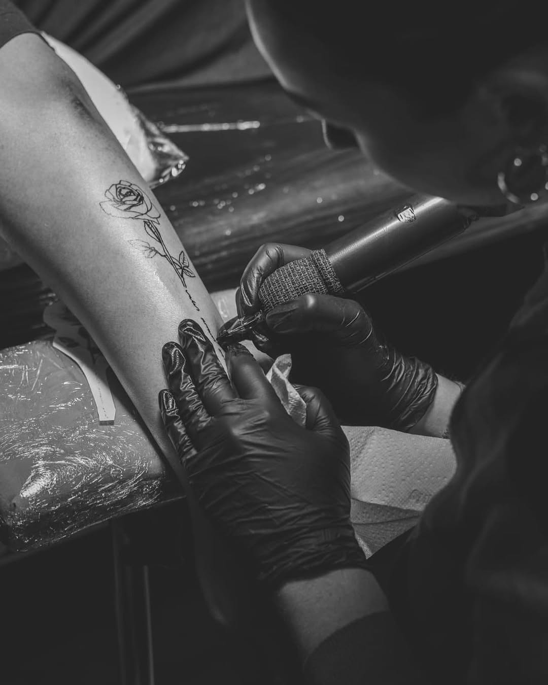 olivia.tats