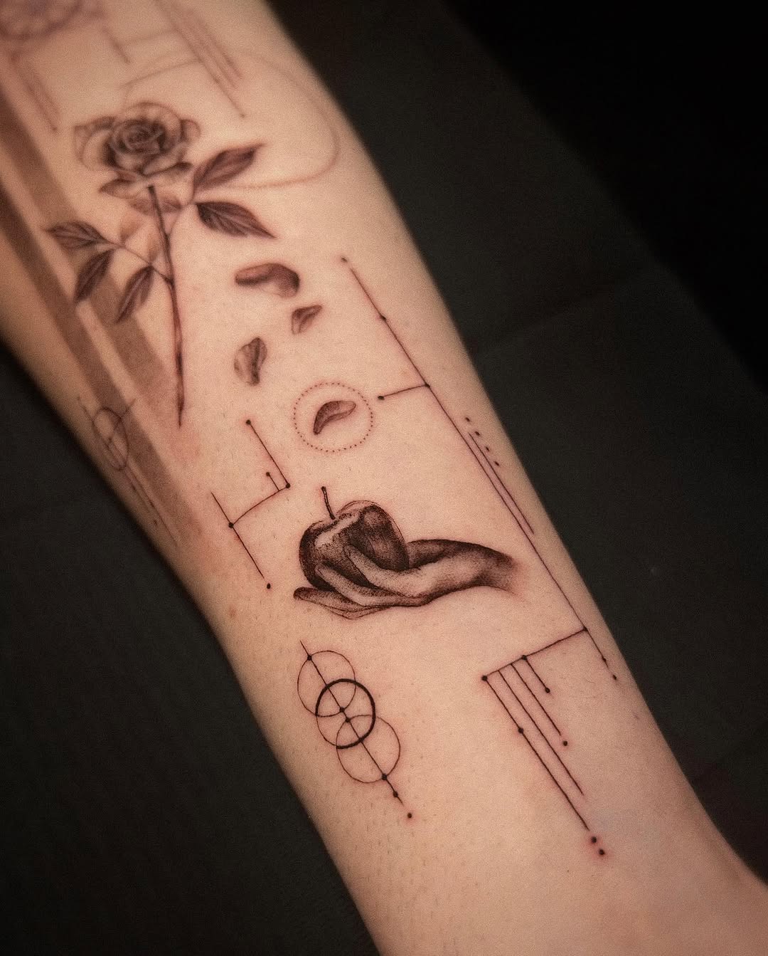 Flower, Rose
