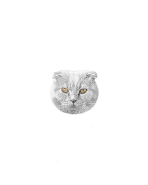 텐구, 고양이, 여우 가면, 함사, 마네키네코