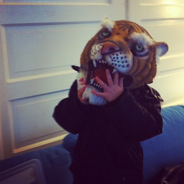 Tiger