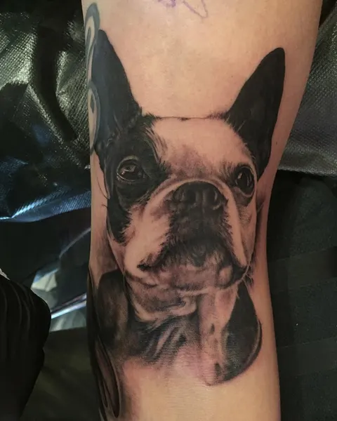 Animal
