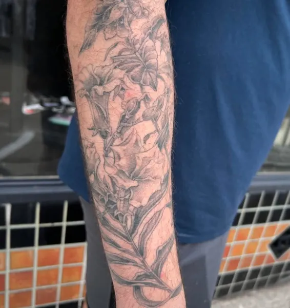 Flower, Rose