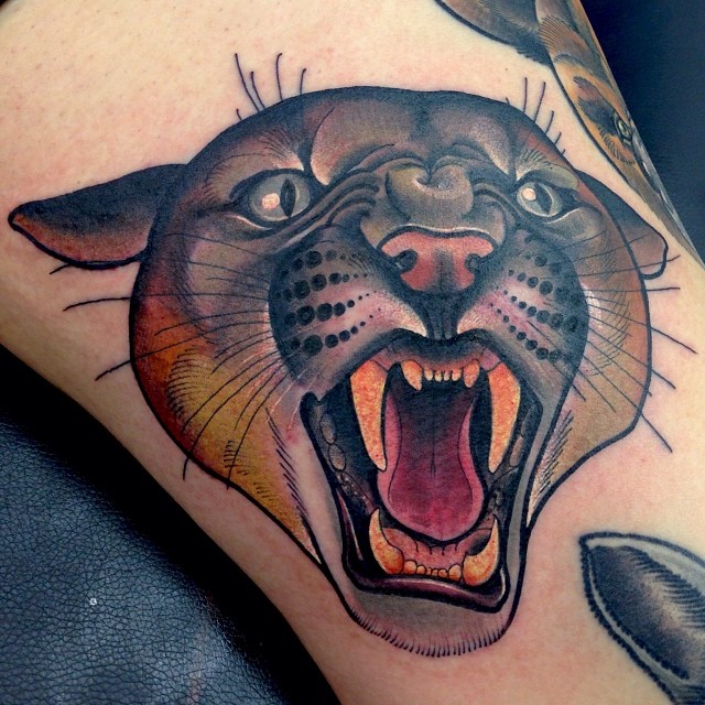 Tiger, Animal