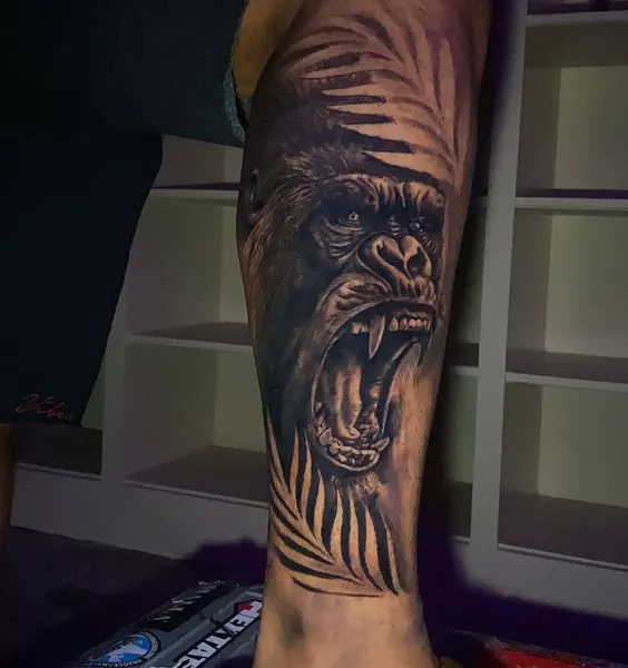 Tiger, Animal