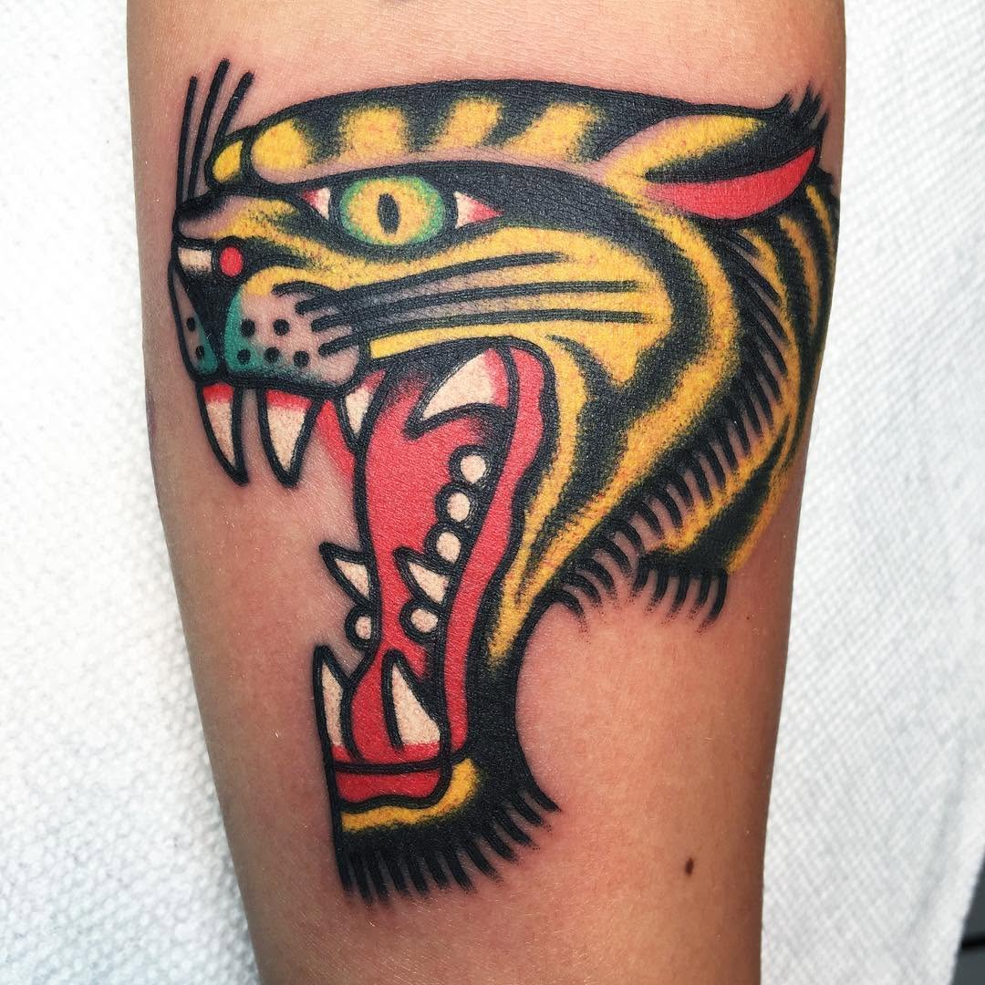 Tiger, Animal