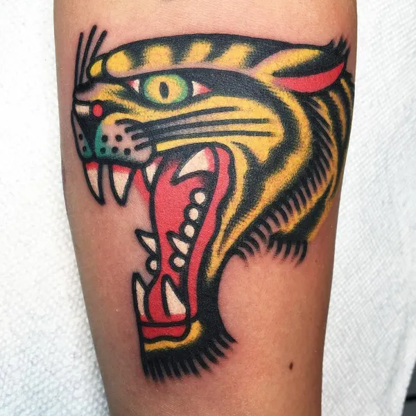 Tiger, Animal