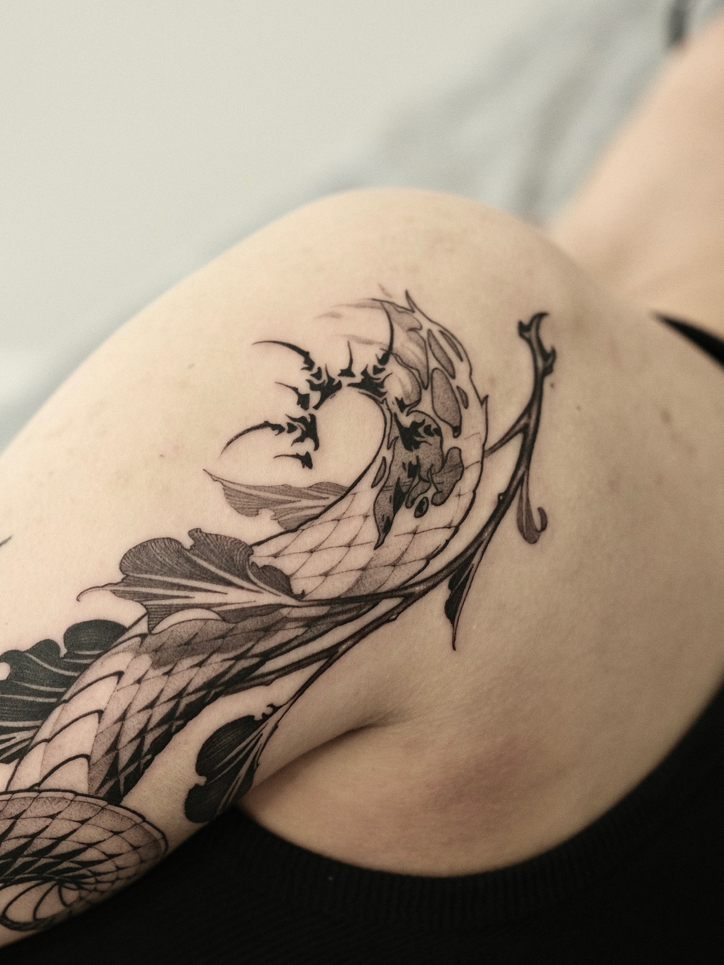 Dragon