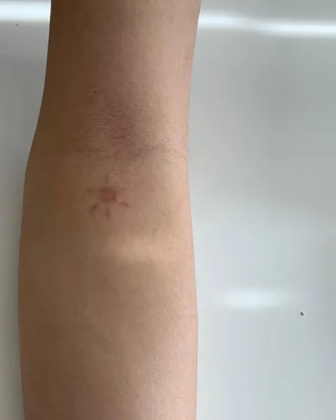 Rose, Flower