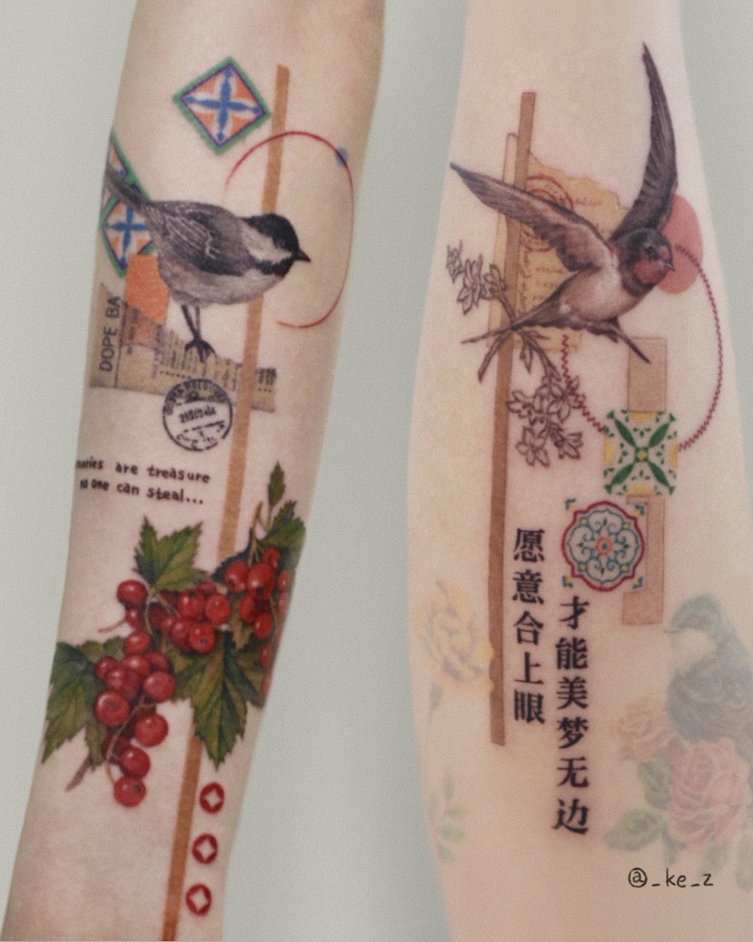 Animal, Nature, 잠자리, 매미