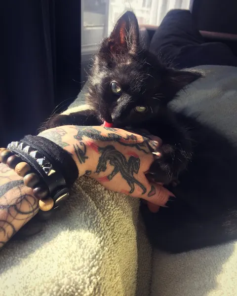 maryjoytattoo