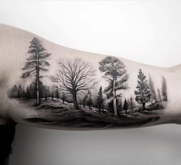Nature