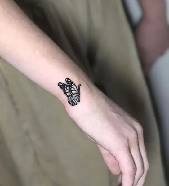Animal, Nature
