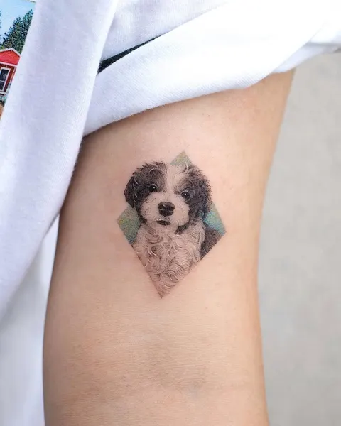 soltattoo